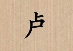姓盧女孩起名五行屬土兩個(gè)字名字_姓盧女孩屬土100分兩個(gè)字名字