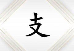 姓支女孩起名五行屬金兩個(gè)字名字_姓支女孩屬金100分兩個(gè)字名字