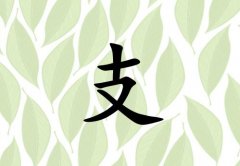 姓支女孩起名五行屬木兩個(gè)字名字_姓支女孩屬木100分兩個(gè)字名字