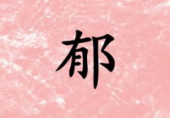 кЌٻɂ(g)_кٻ100փɂ(g)