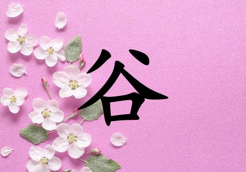 姓谷男孩起名五行屬木兩個(gè)字名字_姓谷男孩屬木100分兩個(gè)字名字