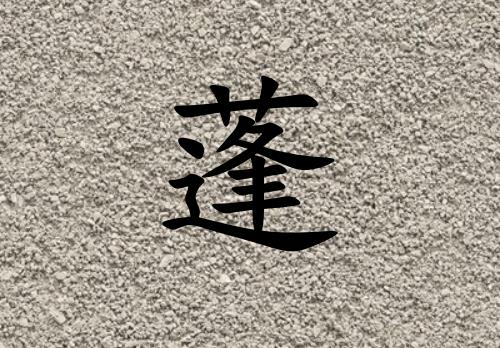 姓蓬男孩起名五行屬土兩個字名字_姓蓬男孩屬土100分兩個字名字
