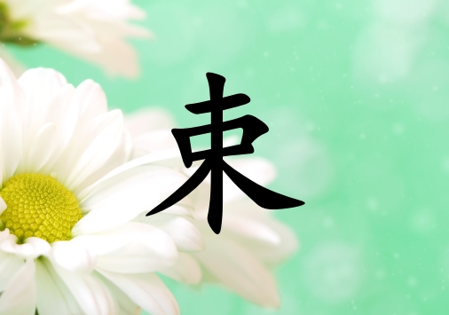 姓束男孩起名五行屬木兩個(gè)字名字_姓束男孩屬木100分兩個(gè)字名字