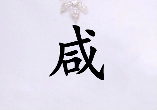 姓咸女孩起名五行屬金兩個字名字_姓咸女孩屬金100分兩個字名字