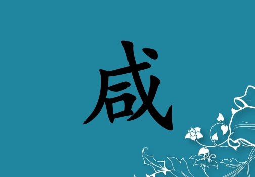 姓咸女孩起名五行屬水兩個字名字_姓咸女孩屬水100分兩個字名字
