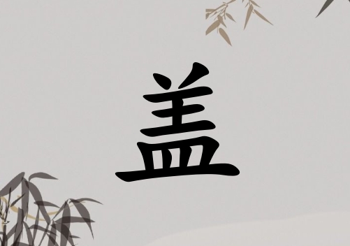 姓蓋女孩起名五行屬木三個(gè)字名字_姓蓋女孩屬木100分三個(gè)字名字