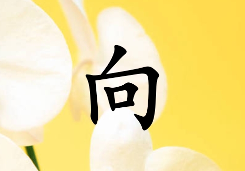 姓向女孩起名五行屬土三個字名字_姓向女孩屬土100分三個字名字
