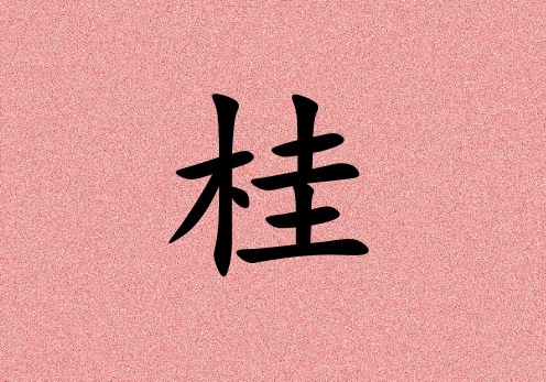 չŮЌٻ(g)_չŮٻ100(g)