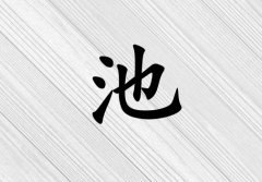 姓池女孩起名五行屬金三個(gè)字名字_姓池女孩屬金100分三個(gè)字名字