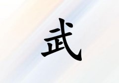 姓武女孩起名五行屬金三個字名字_姓武女孩屬金100分三個字名字