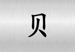 ؐкЌٽ(g)_ؐкٽ100(g)