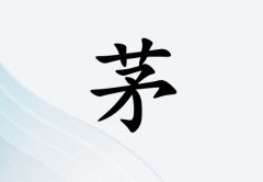 éŮЌٽ(g)_éŮٽ100(g)