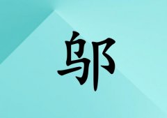 wкЌˮ_wкˮ100
