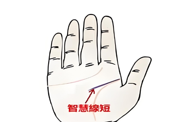 ǻ۾^(gu)̻^(gu)Ǟ(zi)
