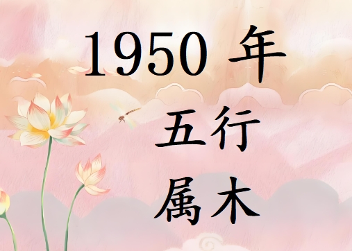 1950Ќʲô1950ʲô