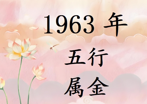 1963Ќʲô1963ʲô