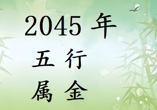 2045Ќʲô2045ʲô